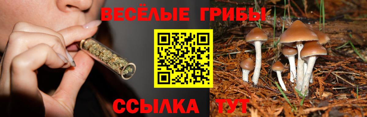 Галлюциногенные грибы мухоморы Сибай